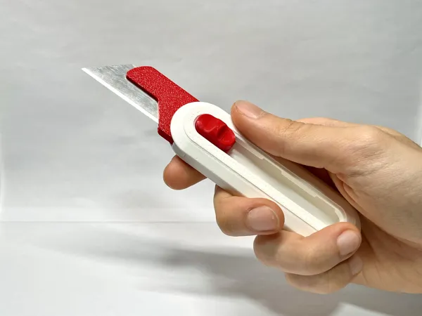 https://makerworld.bblmw.com/makerworld/model/DSM00000000765149/design/2024-11-07_eyvidz94qkpe.jpeg
