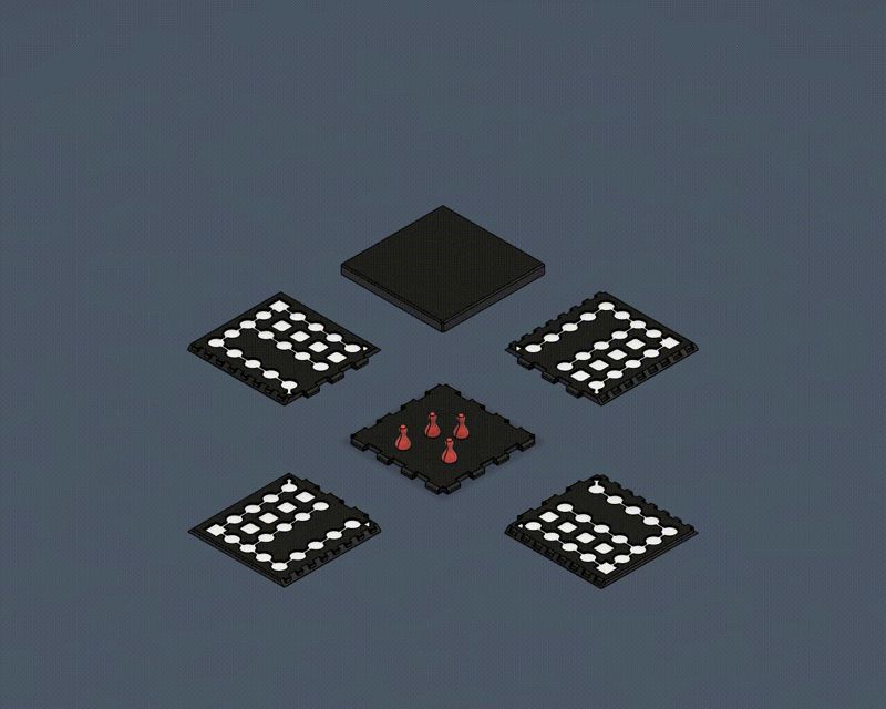 Ludo / Člověče, nezlob se!
