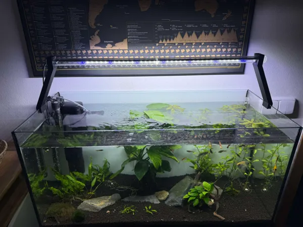 https://makerworld.bblmw.com/makerworld/model/DSM00000000766445/design/2024-11-07_1096055fd9534.jpg