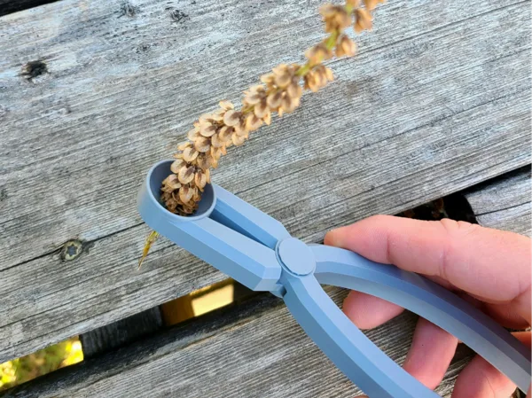 https://makerworld.bblmw.com/makerworld/model/DSM00000000767252/design/2024-11-07_1301c17cd5cbd.jpg
