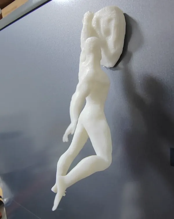 https://makerworld.bblmw.com/makerworld/model/DSM00000000767544/design/5730692d-6dc2-41f3-a943-d234ff300007.webp