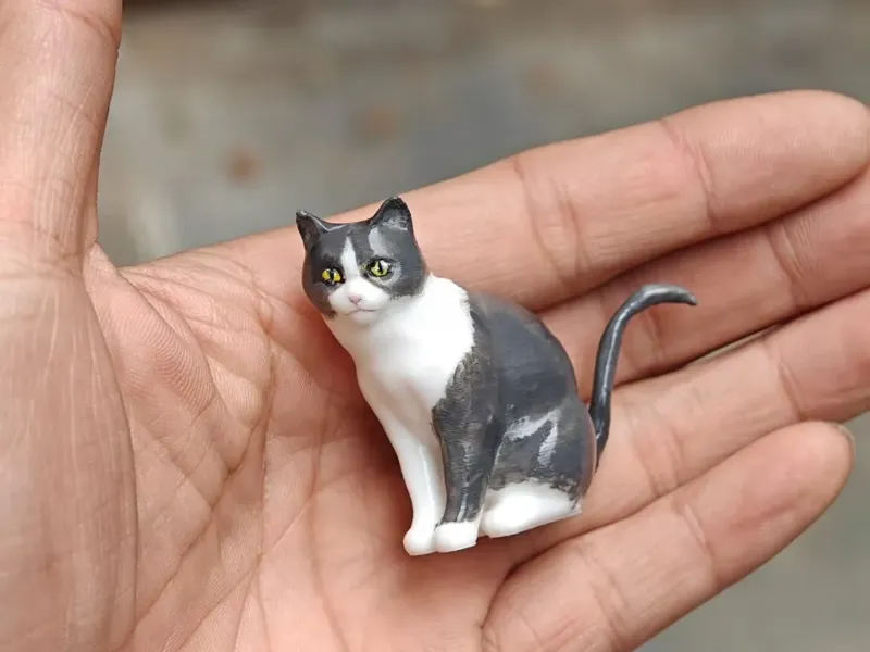 小猫