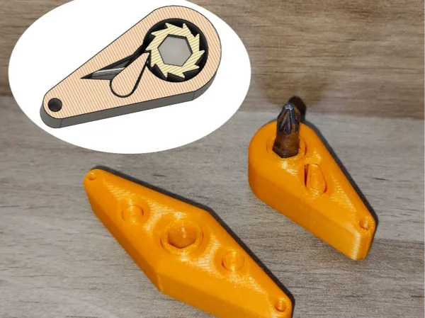 https://makerworld.bblmw.com/makerworld/model/DSM00000000768392/design/2024-11-08_c09da333a19ef.jpg