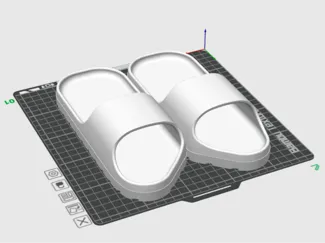 The Crocs
