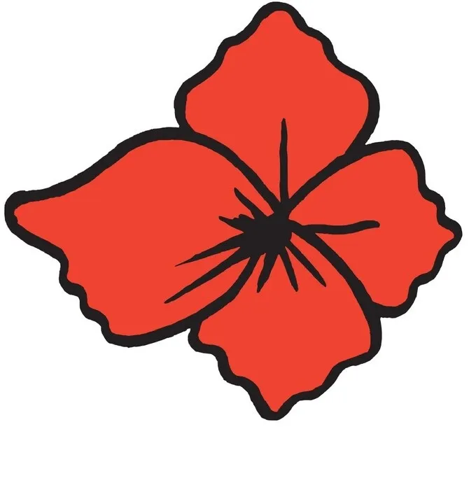 Poppy Czech Army 2024