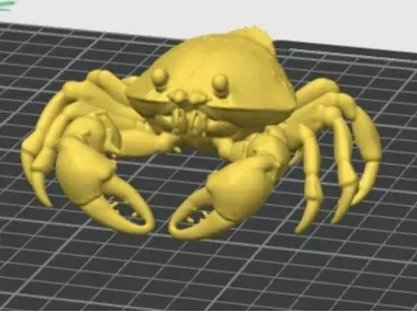 大闸蟹 Hairy Crab