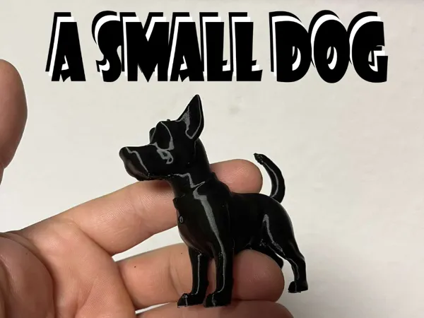 Petit chien
