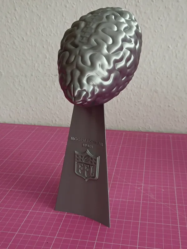 https://makerworld.bblmw.com/makerworld/model/DSM00000000772430/design/2024-11-10_5jrtujueh8q4.jpg