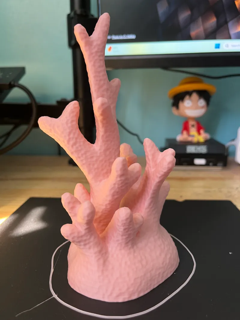 Coral - Home Decor
