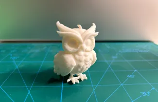 Owl 