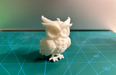 Owl