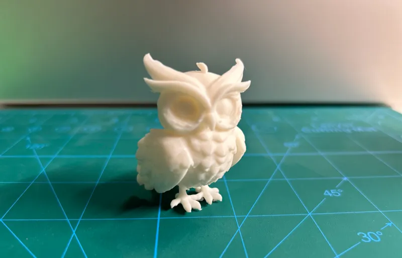 Owl