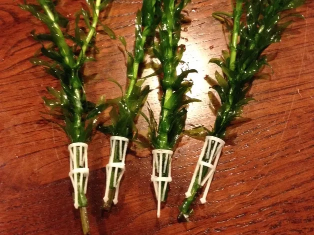 鱼缸水藻种植桶