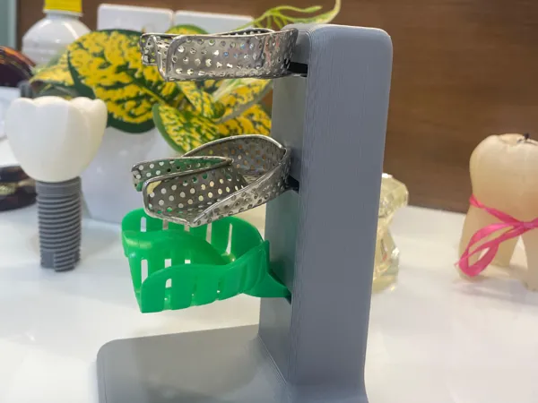 https://makerworld.bblmw.com/makerworld/model/DSM00000000778001/design/2024-11-11_4d1675bf54b03.jpeg