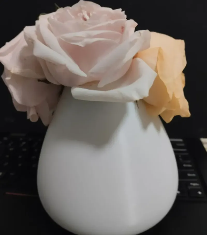 花瓶