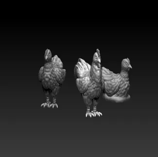 Chickens