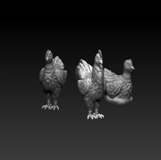 Chickens
