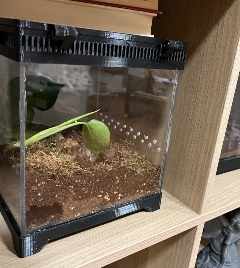 Terrarium 20x20