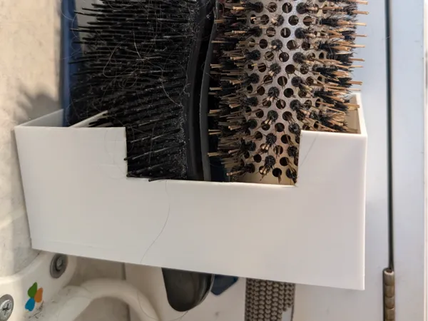 https://makerworld.bblmw.com/makerworld/model/DSM00000000781794/design/2024-11-12_6880b78749a83.jpg