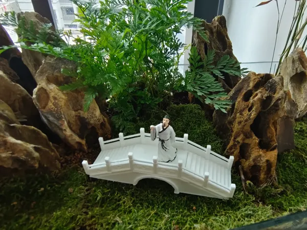 https://makerworld.bblmw.com/makerworld/model/DSM00000000782969/design/35bb9a75-b388-4c4b-9fbe-b76e00998517.webp