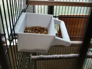 鸟食盒鸟粮盒