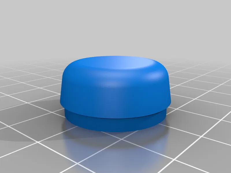 Tesla Model 3 Wiper Arm Nut Cover