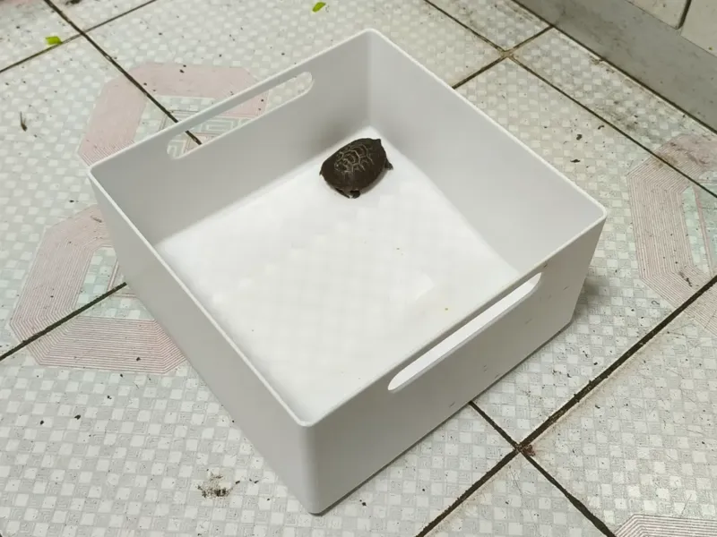 乌龟舱，极限体积，极限过桥，无支撑
