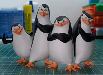 Madagascar Penguin