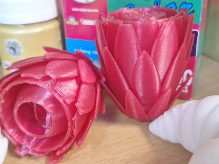 Protea FLower V1