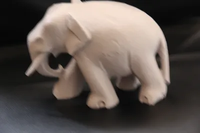Elephant / Slon