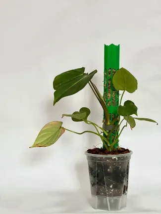 爬藤植物水苔柱(优化版) 模块化组装