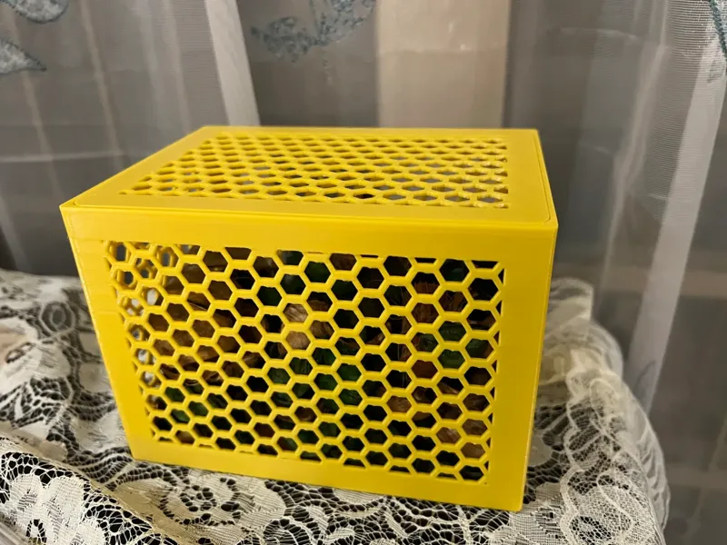 蜂窝盒子(宜家干花)