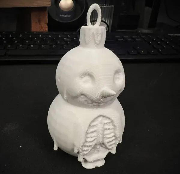 https://makerworld.bblmw.com/makerworld/model/DSM00000000792455/design/2024-11-16_f005b71530555.webp