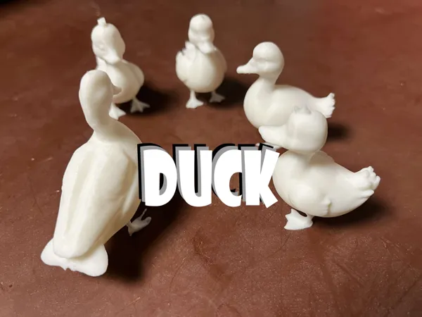 https://makerworld.bblmw.com/makerworld/model/DSM00000000792589/design/2024-11-16_f6f27ea7ea76d.jpg