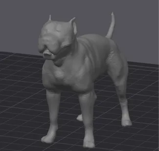 Pitbull