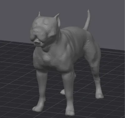 Pitbull