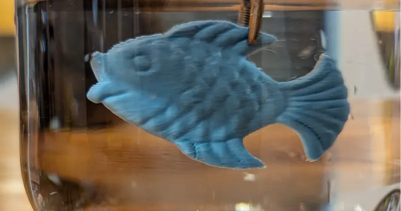 fish