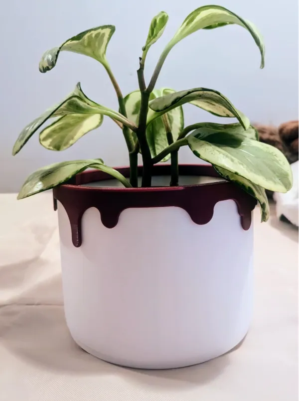 https://makerworld.bblmw.com/makerworld/model/DSM00000000793794/design/2024-11-16_5dfd291b36a8a.jpg