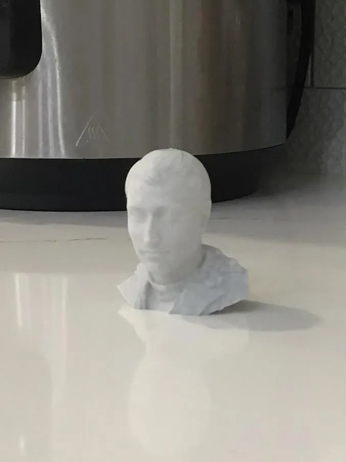 Napoleon Bonaparte Bust
