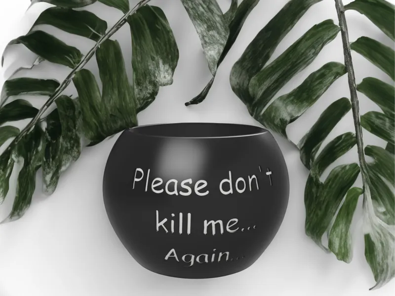 Funny plant pot