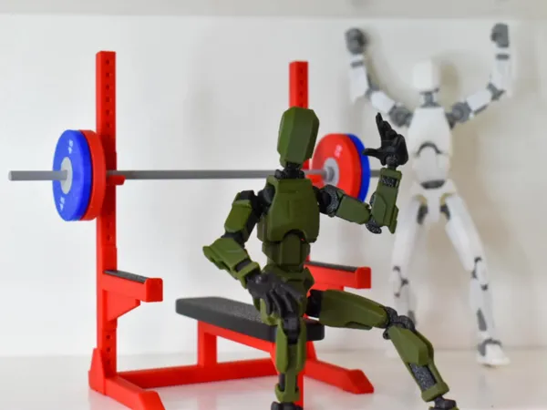 https://makerworld.bblmw.com/makerworld/model/DSM00000000794558/design/2024-11-16_bd8cd2bc32c7f.jpg