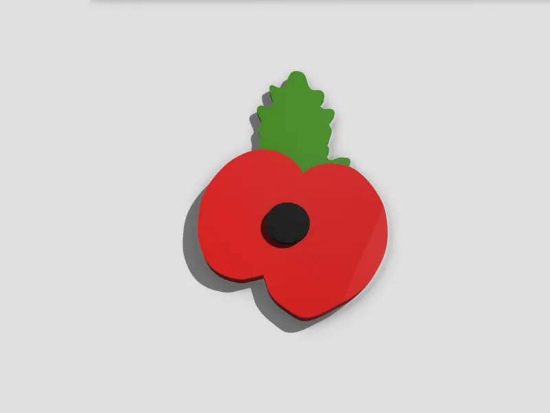Remembrance day poppy
