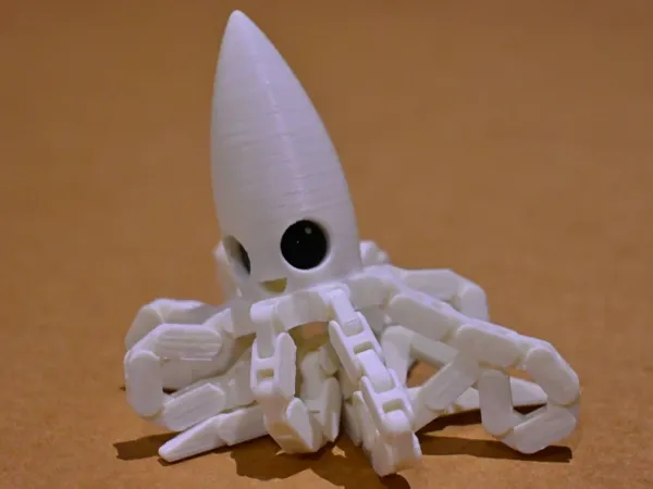 https://makerworld.bblmw.com/makerworld/model/DSM00000000797268/design/2024-11-17_1d9ad9f1228bd.webp