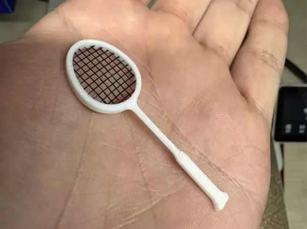 https://makerworld.bblmw.com/makerworld/model/DSM00000000799724/design/84352082-8bb4-4cb3-a958-09f411ca8258.webp