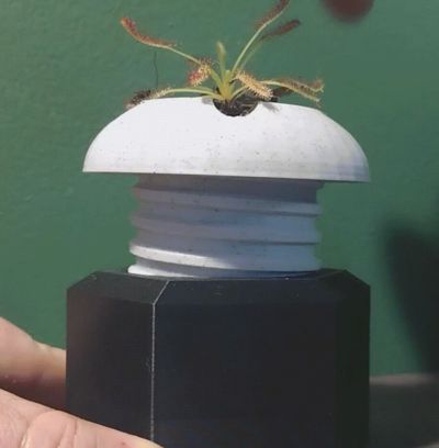 "Screwy" Self-watering planter
