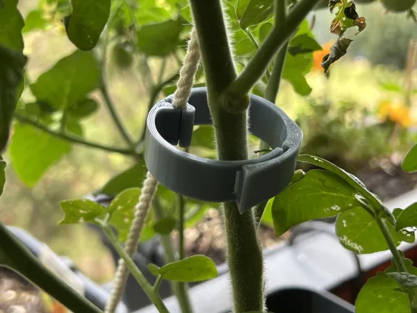 https://makerworld.bblmw.com/makerworld/model/DSM00000000801158/design/2024-11-19_45bev9s8esky.jpg