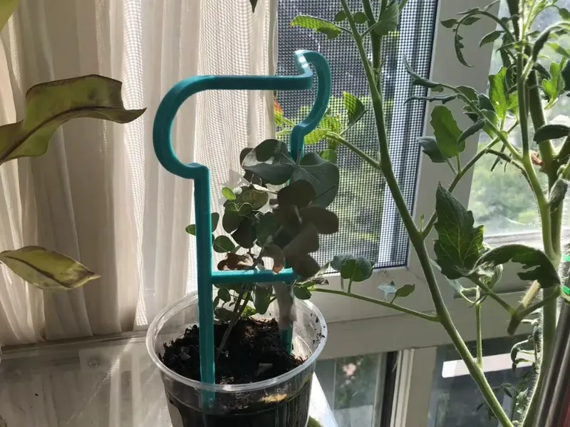 小绿植支架