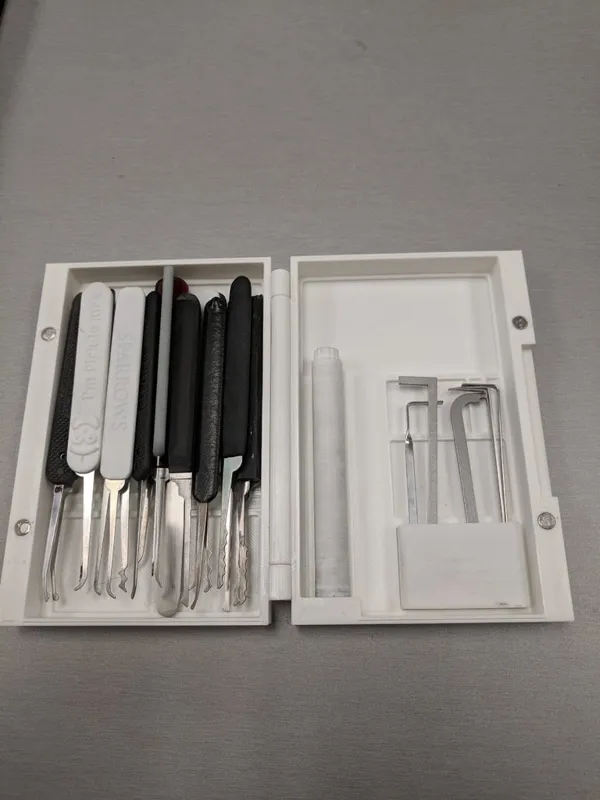 https://makerworld.bblmw.com/makerworld/model/DSM00000000801692/design/2024-11-19_60ounma1e2kv.jpg