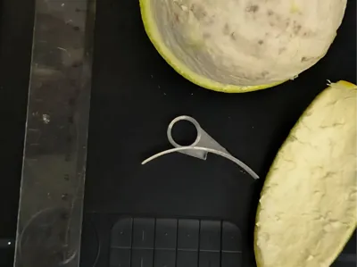 Orange and grapefruit slicer