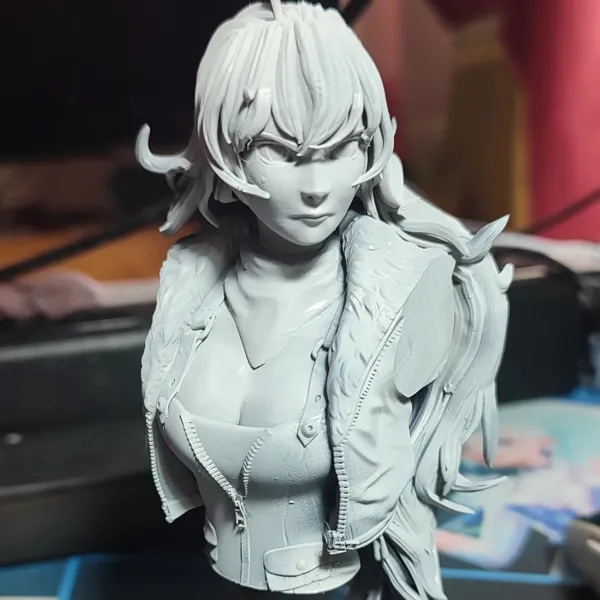 https://makerworld.bblmw.com/makerworld/model/DSM00000000805482/design/2024-11-20_qm85tv2wka7a.jpg